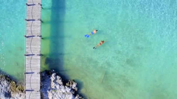 Casal Roncando Água Azul Clara Tropical Perto Doca Drone Aéreo — Vídeo de Stock