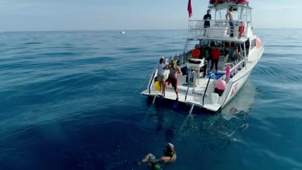 Mergulhadores Saltando Barco Para Oceano Câmera Lenta — Vídeo de Stock