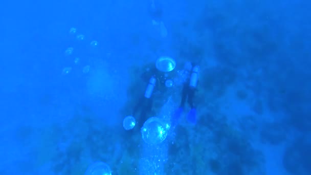 Slow Motion Underwater Shot Scuba Divers Exploring Ocean — Stockvideo