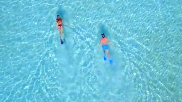 Couple Snoreling Tropical Clear Blue Water Aerial Drone — Stock Video