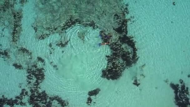 Casal Snorkeling Águas Turquesa Rasas — Vídeo de Stock