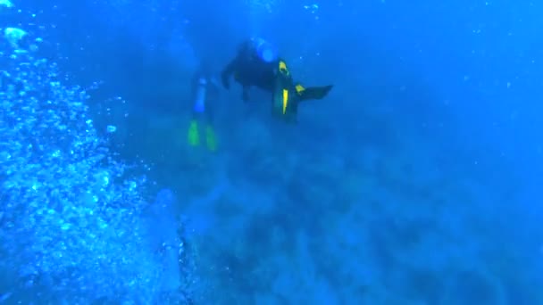 Plongeurs Ralenti Dans Océan Entourés Bulles — Video