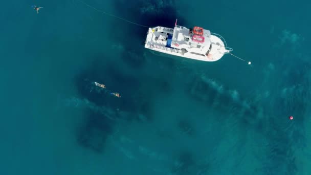 Snorkeling Scuba Divers Ocean Boat Excursion Aerial Drone — Stock Video