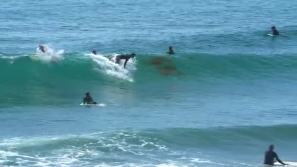 Surfer Catches Wave Surf Beach California — Stock Video