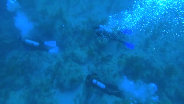 Cámara Lenta Submarina Submarinistas Expedición Buceo — Vídeos de Stock