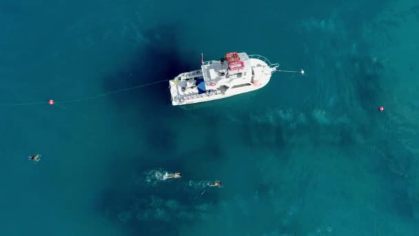 Vista Aérea Buceadores Fuera Del Barco Océano Buceo Profundo — Vídeo de stock