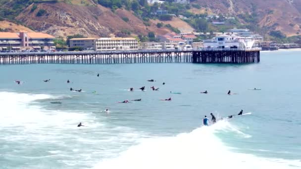 Longboard Surfers Front Malibu Pier — Stock Video