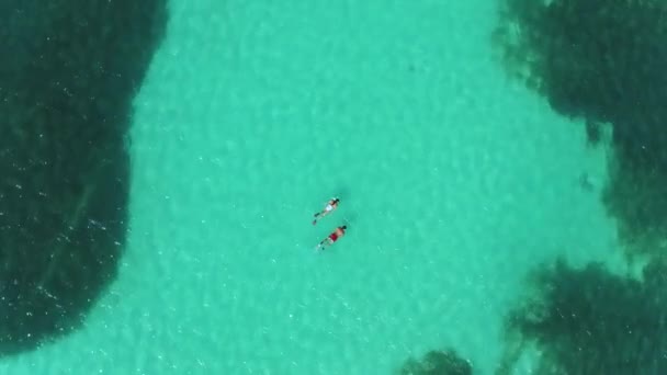 Pareja Haciendo Snorkel Dron Aéreo Arrecife Oceánico Tropical — Vídeo de stock