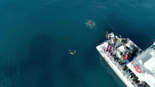 Vista Aérea Mergulhadores Fora Barco Oceano Mergulho Profundo — Vídeo de Stock