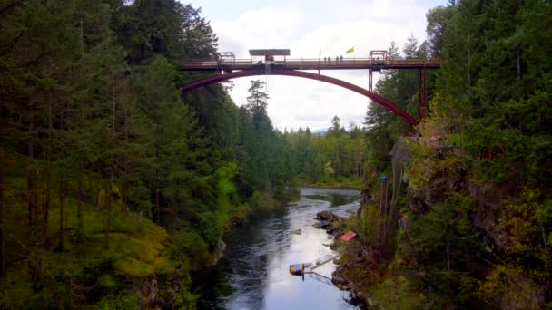 Bungee Jumping Middle Forest — Stock Video