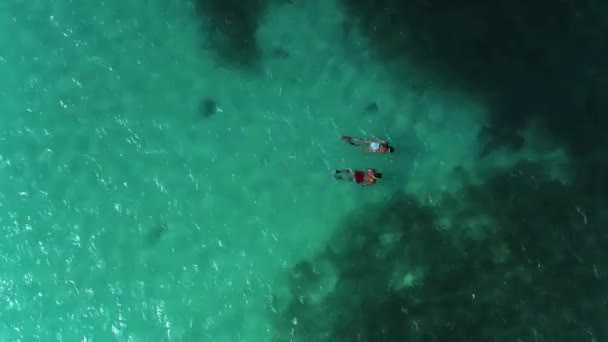 Pareja Haciendo Snorkel Dron Aéreo Arrecife Oceánico Tropical — Vídeo de stock