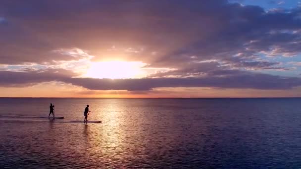夕阳西下的两名划桨者与海豚一起乘坐无人驾驶飞机 — 图库视频影像