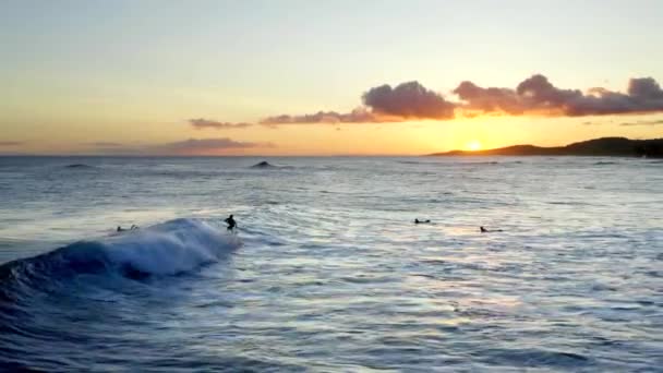Кінематографічні Серферів Гаваях Заході Сонця Повітряний Безпілотник — стокове відео