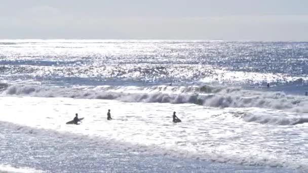 Groupe Surfeurs Dans Océan Coucher Soleil Ralenti — Video