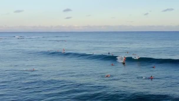 Ομάδα Σέρφερ Στον Ωκεανό Στο Ηλιοβασίλεμα Hawaii Εναέρια Drone Πλάνα — Αρχείο Βίντεο