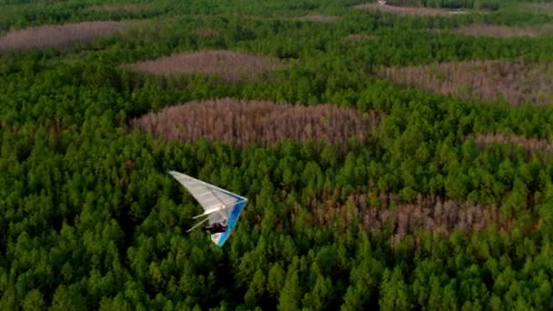 Hang Glider Diatas Hutan Pesawat Tak Berawak — Stok Video