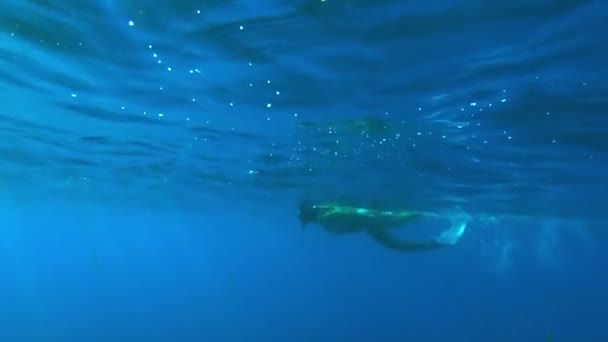 Unterwasseraufnahme Einer Schönen Frau Die Ozean Zeitlupe Schwimmt — Stockvideo