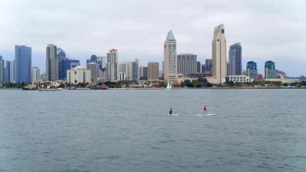 Paddleboarders San Diego Bay — Stock Video