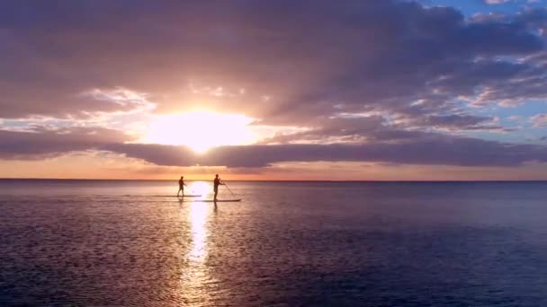 Twee Peddelboarders Bij Zonsondergang Met Dolfijnen — Stockvideo