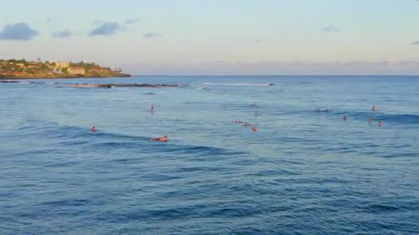 Surfaři Pobřeží Kauai Ostrov Hawaii Letecký Dron — Stock video