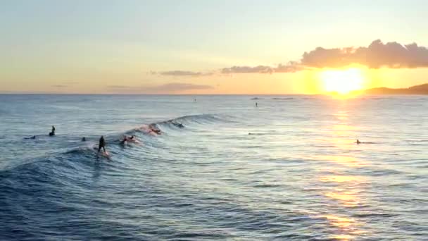 Surfistas Atardecer Cinemático Aviones Tripulados Metraje Hawaii — Vídeos de Stock