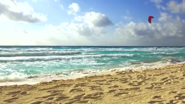 Aquiloni Surfisti Sulla Spiaggia Tropicale Dell Oceano — Video Stock