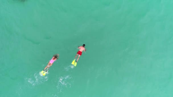 Overhead Casal Tiro Snorkeling Água Oceano Drone Aéreo — Vídeo de Stock