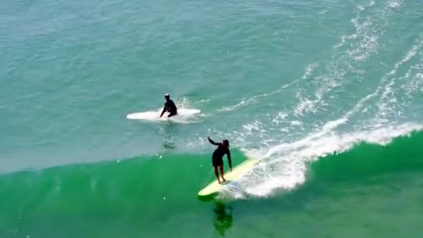 Longboard Surfers Στο Malibu — Αρχείο Βίντεο