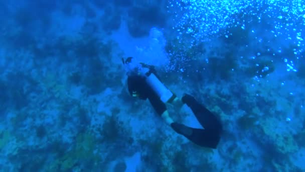 Onderwater Schot Scuba Duiker Oceaan Slow Motion — Stockvideo