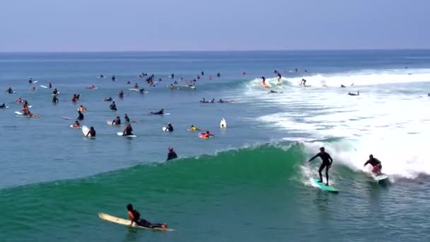 Longboard Surfers Peru — Stockvideo
