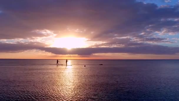 Zwei Paddler Bei Sonnenuntergang Mit Delfinen — Stockvideo