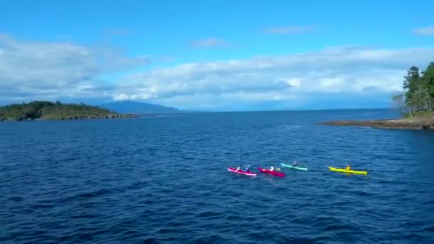 Kayakers Vancouver Island Bay Aerial Drone — Stock Video