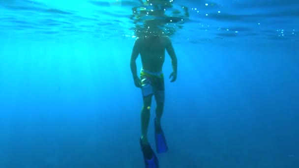 Duiker Aan Het Oppervlak Van Oceaan Onderwater Geschoten Slow Motion — Stockvideo