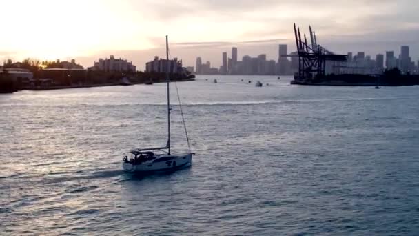 日落时在迈阿密港的一艘帆船 — 图库视频影像