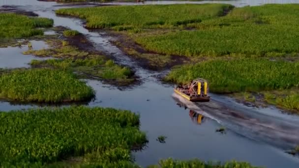 Velocidad Del Barco Aire Través Bayou Con Pasajeros Drone Disparo — Vídeo de stock