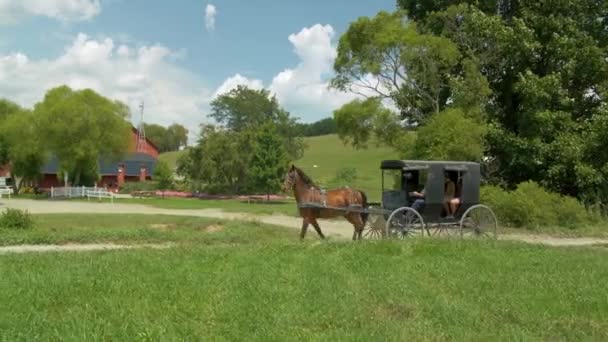 Amish Buggy Venkově Farma Červená Stodola — Stock video