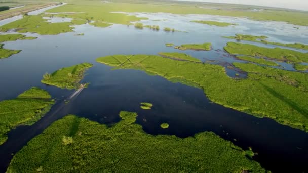 Bayou Drone Boat Eccesso Velocità Attraverso Palude Acqua — Video Stock