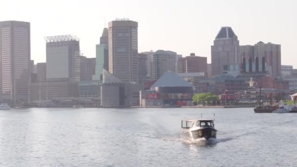 Barco Baltimore Puerto Interior Drone — Vídeos de Stock