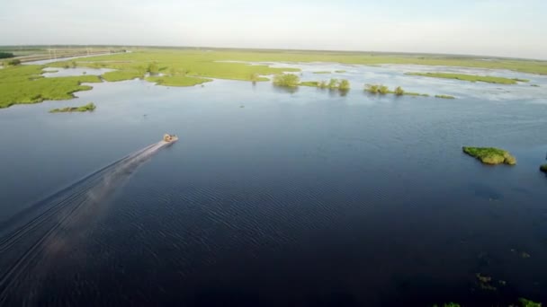 Boot Rast Über Bayou Wasserdrohne — Stockvideo