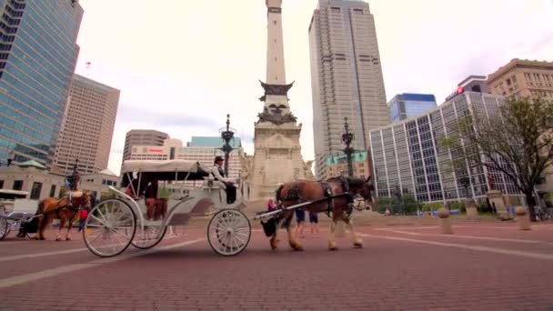 Par Romantisk Häst Buggy Indianapolis — Stockvideo