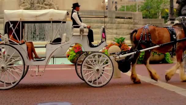 Coppia Romantico Cavallo Buggy Indianapolis — Video Stock