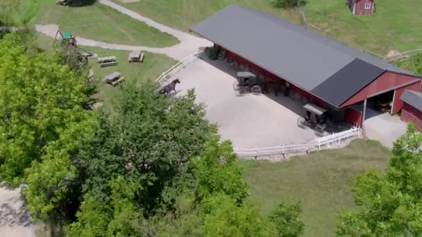 Drone Shot Amish Buggy Granja — Vídeos de Stock