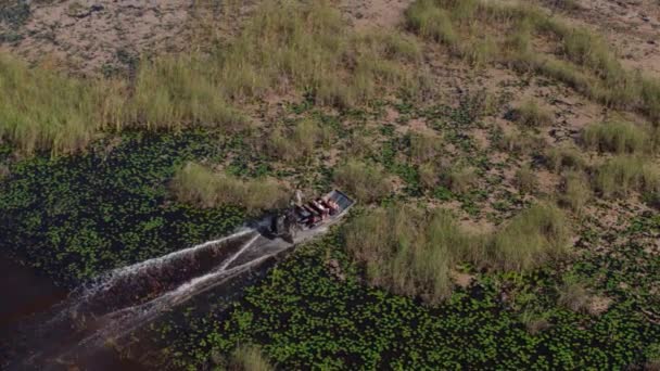 Everglades Airboat Antény Zpomalení Dron — Stock video