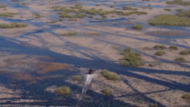 Florida Everglades Légi Drón Léghajó Lassított Felvétel — Stock videók