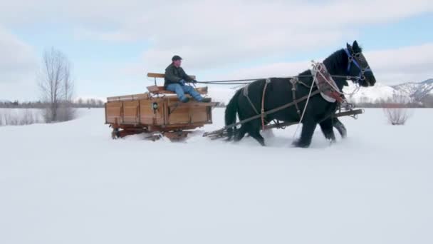 马和马车在雪地里与山同行 — 图库视频影像