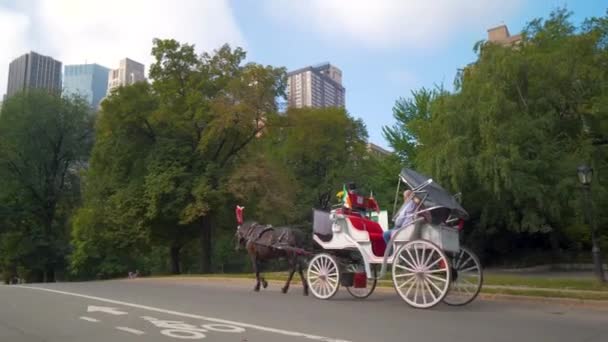 Paseo Carro Caballos Parque Central Nueva York — Vídeos de Stock