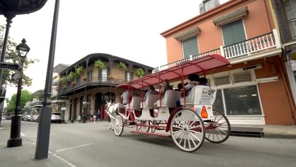 Horse Drawn Carriage French Quarter Tour Panning — Stock Video