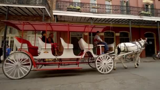 Carrozza Trainata Cavalli Nel Quartiere Francese New Orleans Con Coppia — Video Stock