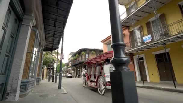 Horse Drawn Carriage French Quarter Tour — Stock Video