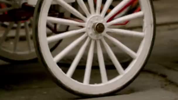 Horse Drawn Carriage Wheel French Quarter — Stock Video